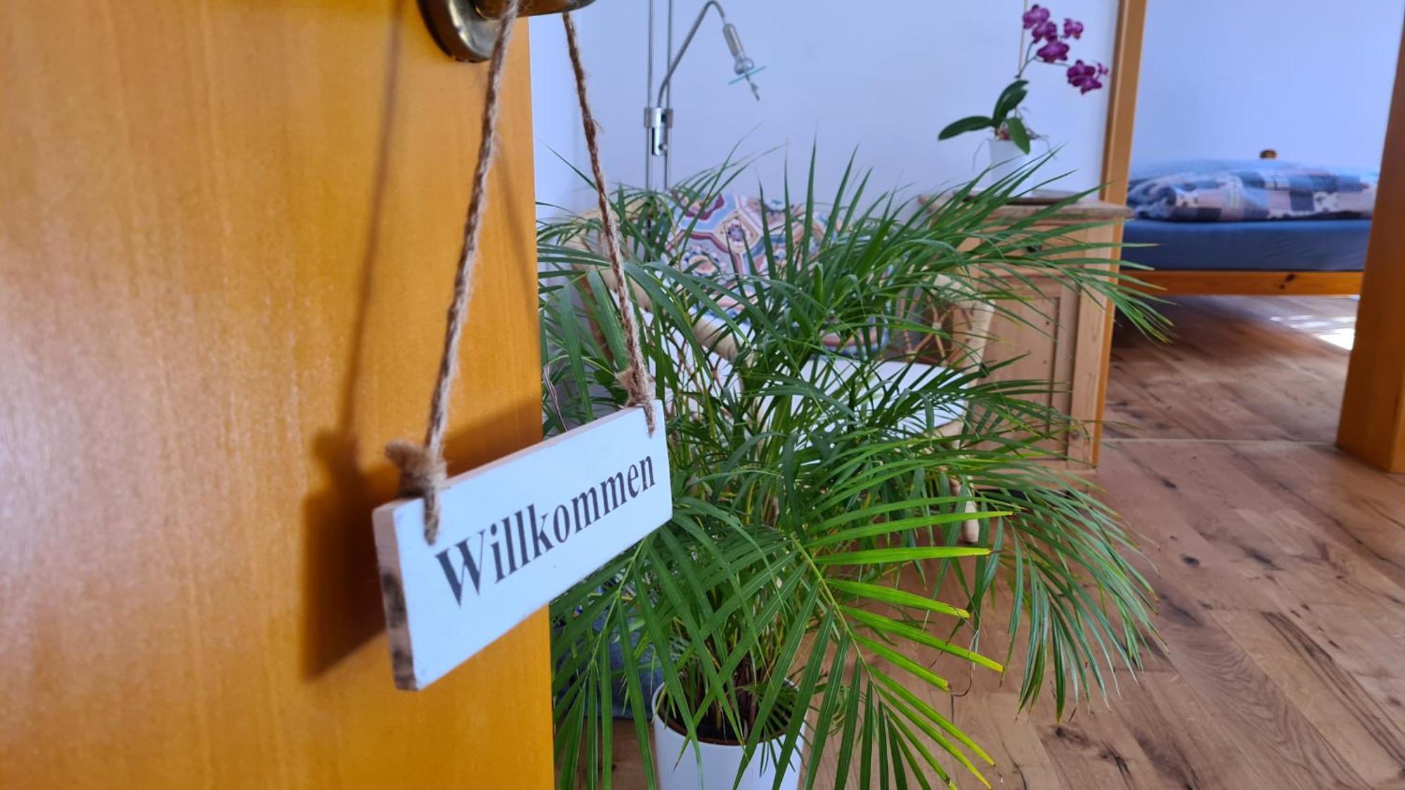 Fewo Mein Panama Commune fusionnée de Commune fusionnée de Bernkastel-Kues Extérieur photo